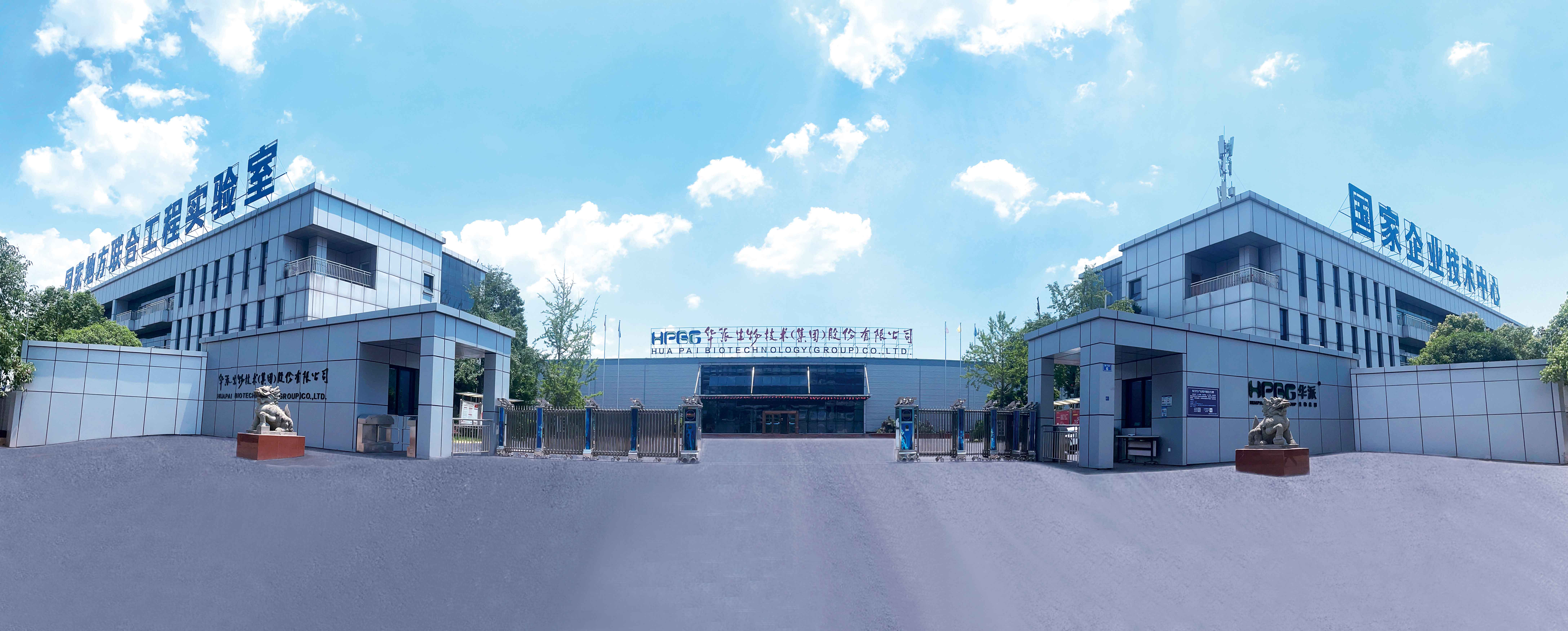 新大门 小.jpg 新大门 小.jpg